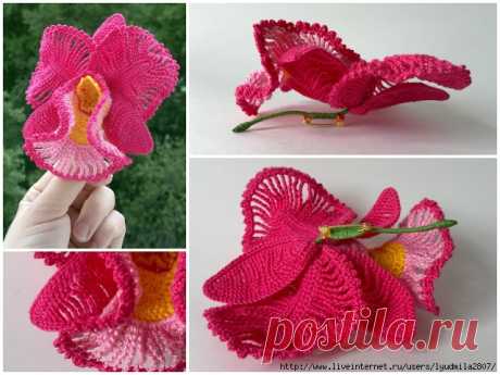 97724926_large_crochet_orchid.jpg (640×480)