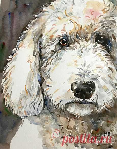 White Dog Painting by Maria Reichert White Dog Painting Painting by Maria Reichert