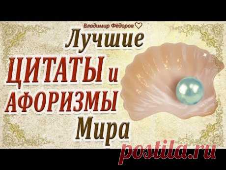 Лучшие Цитаты и Афоризмы Мира!