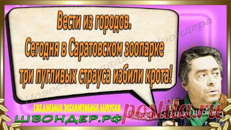 Новости от дядьки Швондера, классный анекдот, смешная фраза, веселая фенечка, смешной каламбур, известные афоризмы, смех да и только, забавные картинки, сложный юмор, непонятные анекдоты, цитаты из интернета, необычное развлечение, Швондер говорит, Шариков, Собачье сердце, улыбка до ушей, эксклюзивный выпуск новостей, ржака, потеха, фарс, наколка, проделка, шутка, юмор, анекдоты в картинках, юмор в картинках, свежие приколы, фенечка, смешная фишка, улыбка, ржачка, интересное в сети, смешок, смех