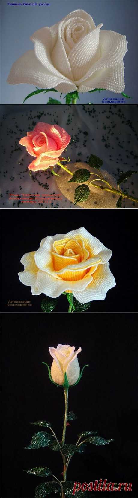Французские розы из бисера от Александра Крамаренко | Умелые ручки