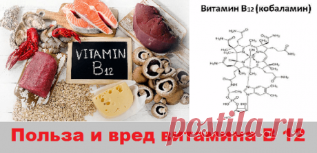 Польза и вред витамина В 12 | Советы целительницы