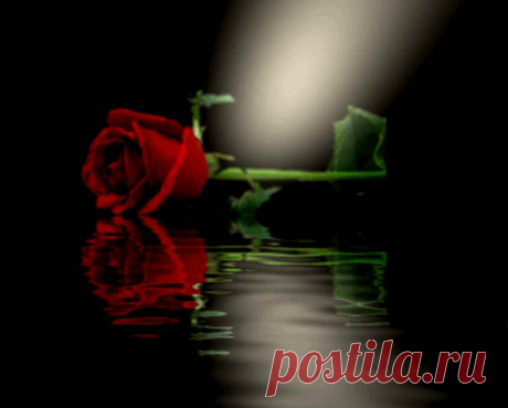 valentine graphic flower reflections - Google Search