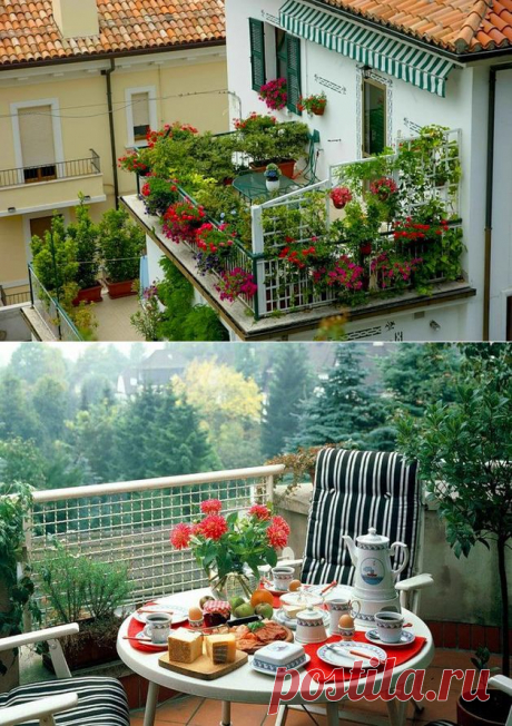 Советы по вертикальному озеленению балкона — Мой дом