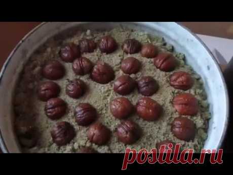 Выращивание грецкого ореха из семян