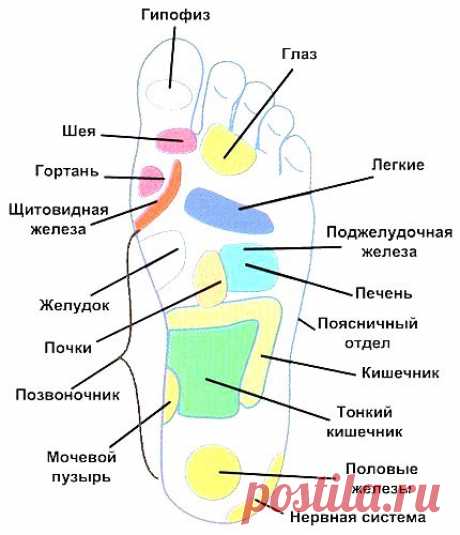 Здоровье через ноги | Женский журнал