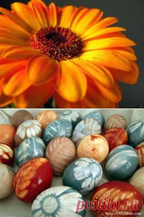 Используем природные натуральные красители для пасхальных яиц | Самоцветик
