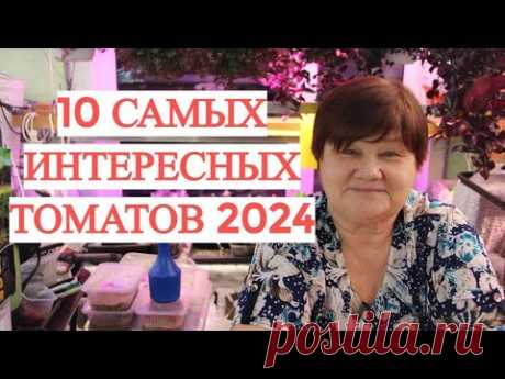 10 САМЫХ ИНТЕРЕСНЫХ ТОМАТОВ 2024