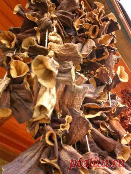 А вы знаете,что сушенные баклажаны по вкусу и внешнему виду напоминают сушеные грибы?.. Поэтому,попробуйте насушить на зиму...баклажаны. | Блог