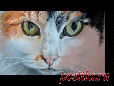 Pansy Cat paintingdrawing in pastel (step by step) - YouTube