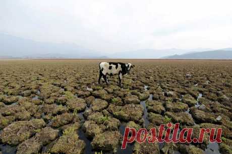 Засуха в Чили: срочно вводятся меры нормирования воды &amp;bull; zabaka.net

Протокол для нормирования воды в чилийской столице Сантьяго был запущен столичным правительством из-за серьезной засухи, в которой живет Чили, и которая длится уже 13 лет. План, объявленный для столичного региона, где проживает почти половина населения (8 000 000 человек)