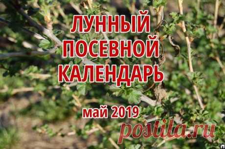 Лунный посевной календарь на май 2019 года: таблица и Луна в знаках Зодиака
В конце весны погода стабилизируется, поэтому работы на приусадебных участках в самом разгаре. Самый точный лунный посевной календарь на май 2019 года, где присутствует таблица и Луна в знаках Зодиака даст возможность выбрать самый благоприятный день для посадки семян, высадки рассады, внесению удобрения, обрезки веток, прополки или борьбы с вредителями.

Рациональный подход к работе в саду и огоро...