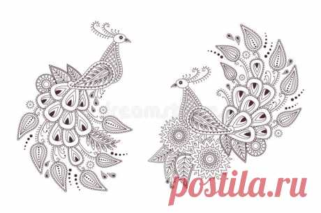 Beautiful Vector Peacock Birds In Indian Paisley Style Stock Vector - Illustration of element, east: 72190478 Illustration about Set of beautiful peacock birds in indian paisley style. Unique hand drawn paisley peacocks, mehndi birds vector illustration on white background. Illustration of element, east, arabic - 72190478