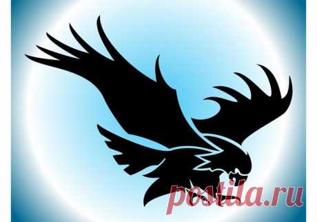 vector-flying-eagle-silhouette.jpg (700×490)