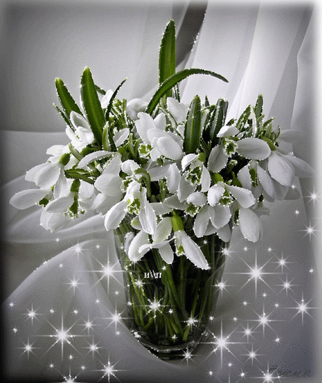 Фото цветов блестящие. Красивые живые цветы gif ⋆ Картинки Открытки Праздники