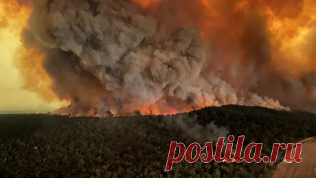 Лесные пожары затормозят глобальное потепление? Миллионы гектаров леса пострадали от самых масштабных за всю историю Австралии пожаров. Начавшиеся дожди помогли обуздать стихию. Ученые полагают, что