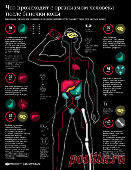 Что происходит с организмом человека после одной банки кока-колы | Newpix.ru - позитивный интернет-журнал