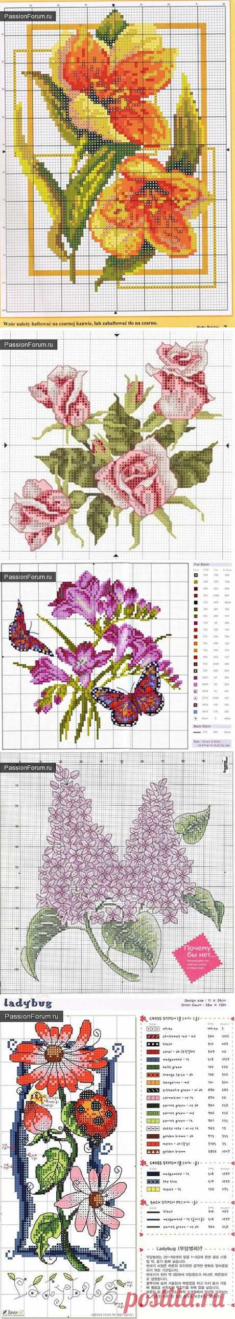 ЦВЕТОЧКИ. ЧАСТЬ 6 / Схемы вышивки крестиком / PassionForum - мастер-классы по рукоделию