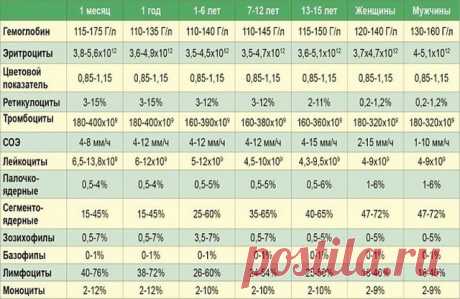 9 ПОКАЗАТЕЛЕЙ КРОВИ, КОТОРЫЕ РАССКАЖУТ ВСЕ О ВАШЕМ ЗДОРОВЬЕ | OK.RU