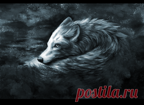 Фото Волк оборачивается на фоне ночного звёздного неба., страница