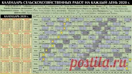 Подробный лунный календарь огородника на 2020 год — Полезные советы