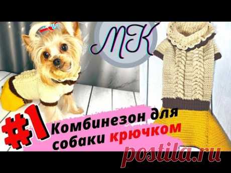 Комбинезон для собаки крючком - 1 серия | Doggy crochet jumpsuit