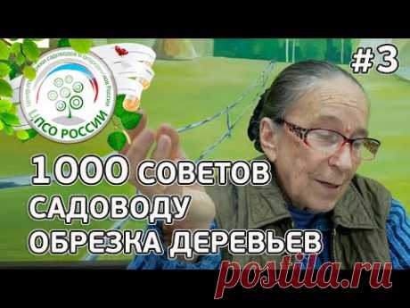 ОБРЕЗКА ПЛОДОВЫХ ДЕРЕВЬЕВ И УХОД ЗА САДОМ. СОВЕТЫ, ОТВЕТЫ НА ВОПРОСЫ ПО ОБРЕЗКЕ ДЕРЕВЬЕВ.