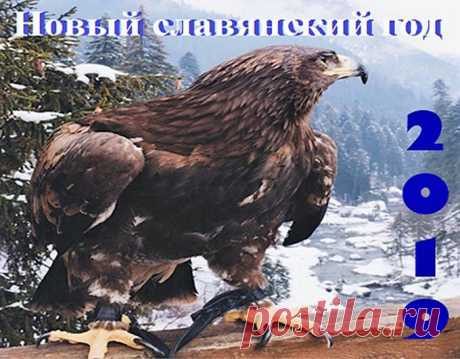 🔴➤● 3 КАКИМ БУДЕТ Новый 2019 год – ГОД ПАРЯЩЕГО ОРЛА по старославянскому календарю | Прогноз от Людмилы Малюта