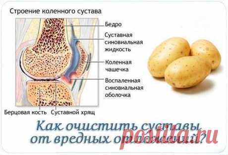 КАК ОЧИСТИТЬ СУСТАВЫ ОТ ВРЕДНЫХ ОТЛОЖЕНИЙ? 
 



Как утверждают многие медики – большинства болезней суставов можно избежать, регулярно проводя их профилактическое очищение. Существует множество способов очищения суставов (в основном это диеты…