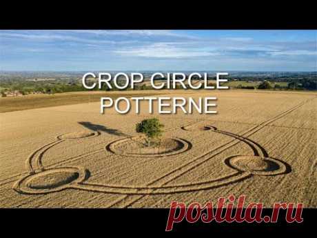 Crop Circle Around A Tree - Potterne, Nr Devizes, Wiltshire - Reported 4th August 2020 - YouTube
