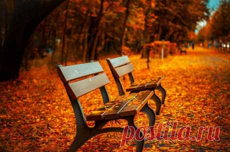15 затишних віршів про осінь від українських поетів – Bookmarin