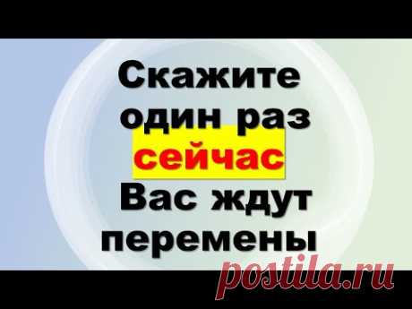 Скажите всего один раз сильную фразу, и изменения будут очень скоро