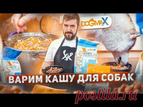 Варим кашу для собак DogmaX | Обзор и интервью | Натуральное питание для собак