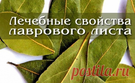 Подожгите лавровый лист в своем доме.                                   
 Зачем? Вы будете приятно удивлены!Каждый дом обладает своим ароматом. У кого-то он  пахнет духами или кофе, у других же домашней едой или теплым молоком. 
Но бывают жилища, в которых присутствует запах невероятной свежести и чистоты. При этом вы чувствуете себя там очень уютно, так как это не 
искусственный запах освежителя воздуха.