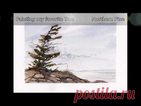 Paint a Northern Pine Tree. Quick and fun real-time watercolor demo. Peter Sheeler