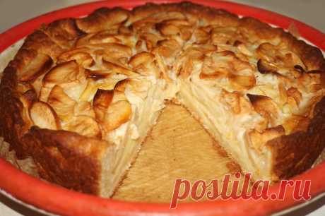 Пирог из творожно-масляного теста с яблоками – очень вкусный!