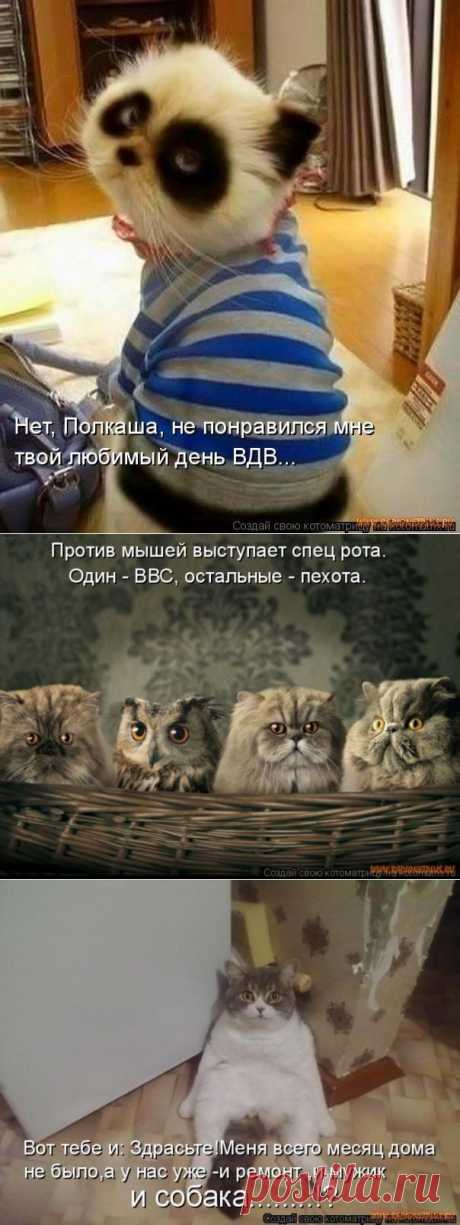 Котоматрица...или мысли вслух.