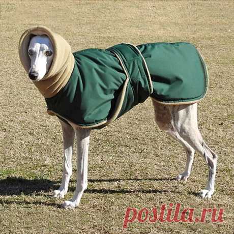 Куртка Greyhound Wolfhound для овчарки, осенняя теплая бархатная одежда для домашних животных, водонепроницаемая зимняя жилетка для собаки, пальто для средних и больших собак | AliExpress