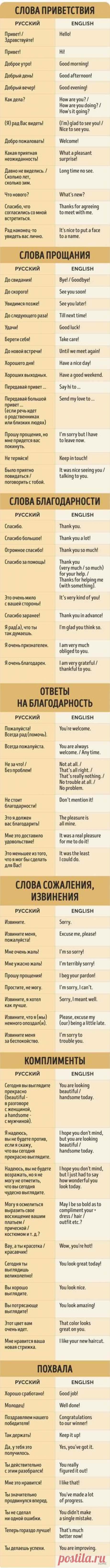 7 способов быть вежливым на английском языке