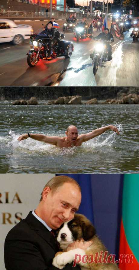 Самые яркие снимки из жизни Президента России.