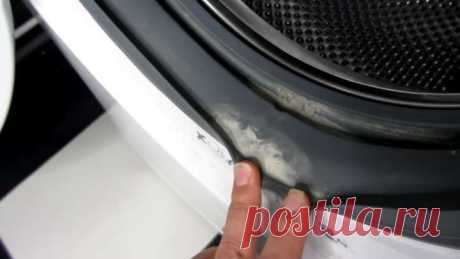 Как полностью очистить стиральную машинку / Домоседы