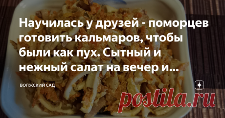 Научилась у друзей - поморцев готовить кальмаров, чтобы были как пух. Сытный и нежный салат на вечер и праздник Приветствую, уважаемые садоводы! Кальмары - это для меня такая засада, все время они резиновые и невкусные получались. Я даже стала думать, что люди восторгаются этими   морепродуктами от лукавства. Полезные, надо есть, вот и говорят - вкусно! Но однажды к нам приехали знакомые из Владивостока, на нашей Волге покупаться. Я, конечно, к ним с пирогами да шашлыками,...