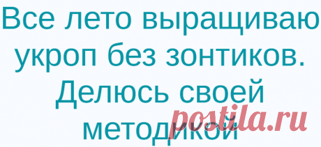 Все лето выращиваю укроп без зонтиков. Делюсь своей методикой
Зелень на моем участке всегда растет в изобилии, начиная с весны и до самого конца дачного сезона. Довольна я и все мои родные, ведь такая витаминная добавка всегда прекрасно сочетается с любым блюдом. Особенно радуют грядки с укропом, зеленые побеги с которых я срезаю все лето, и только к осени они выбрасывают стрелки с зонтиками. […]
Читай дальше на сайте. Жми подробнее ➡