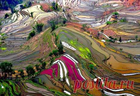 Рисовые террасы Хунхэ-Хани в Китае (26 фото)
