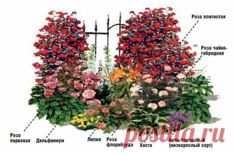 Клумба непрерывного цветения из многолетников - схемы и фото. | Красивый Дом и Сад