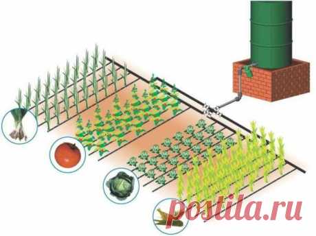 Как сделать систему полива на огороде