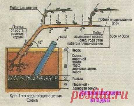 (47) Одноклассники