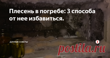 Плесень в погребе: 3 способа от нее избавиться. Почти весь урожай, собранный на своем приусадебном участке или даче, как  привило, хранится в погребе. Потому как в квартире или же частном доме  хранить весь запас выращенного не возможно и из-за количества и из-за  неподходящей температуры. В погребе всегда прохладно, а потому это  наиболее удобное хранилище и для овощей и фруктов и для банок с  домашними соленьями и маринадами. Тому, кто имеет