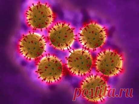 (99+) Что необходимо знать о ротавирусной инфекции - Народная медицина - 15 декабря - 43704054249 - Медиаплатформа МирТесен