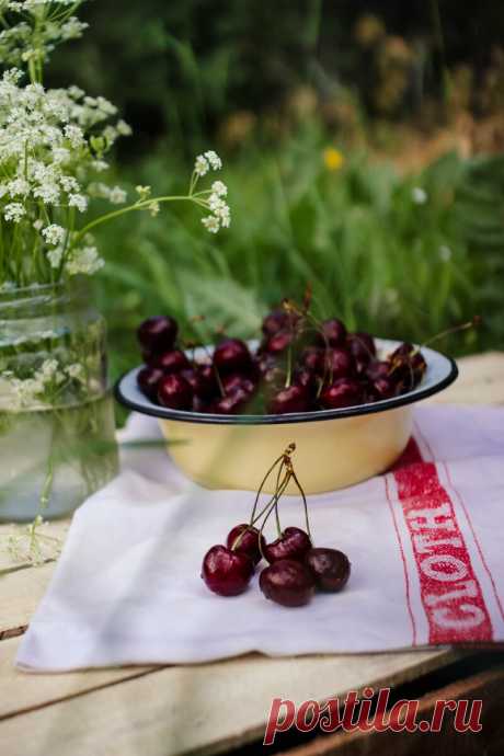 Чем подкормить вишню во время цветения для вкусной ягоды (Два варианта подкормки) | Огород Коротко и Ясно | Яндекс Дзен